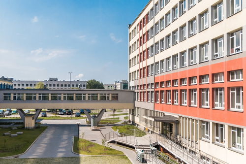 华体会官网-中国篮球青训教练员专业能力提升及培训体系建设，篮球青训师资格证好考么