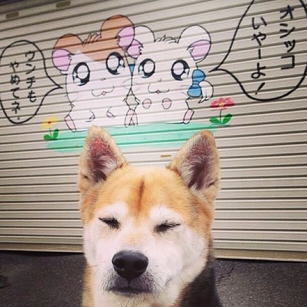 外教战术标准未融合本土足球土壤