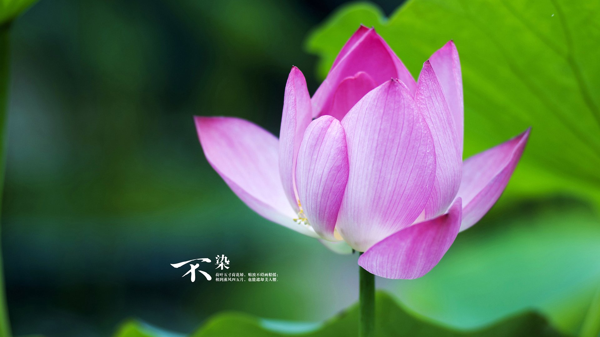 球员体能管理出色,密集赛程无惧挑战,nba球员体能