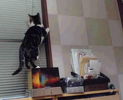 乔治外线防守压制对手核心,乔治防守效率