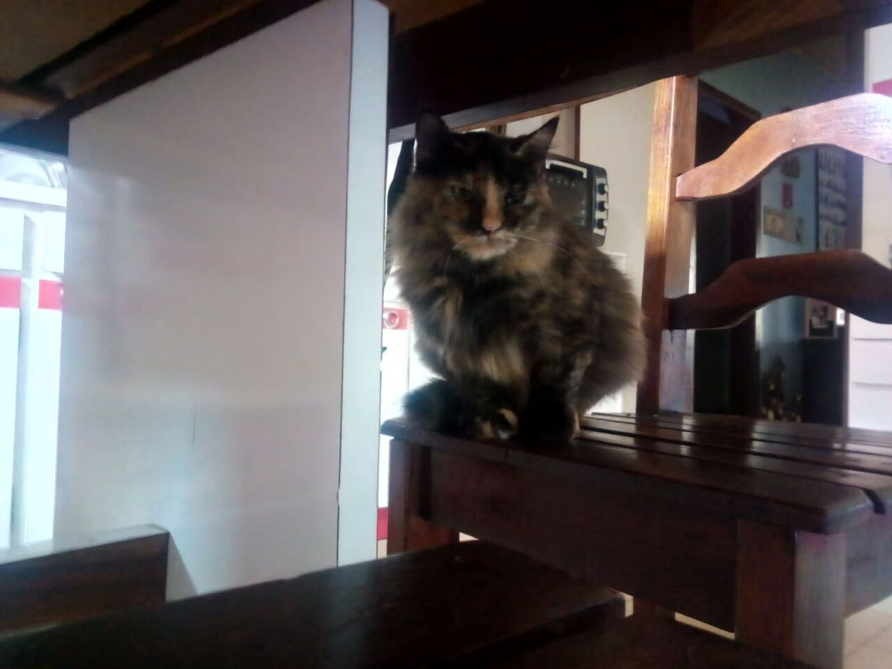 仰泳末段加速韩国抢占先机,仰泳bd