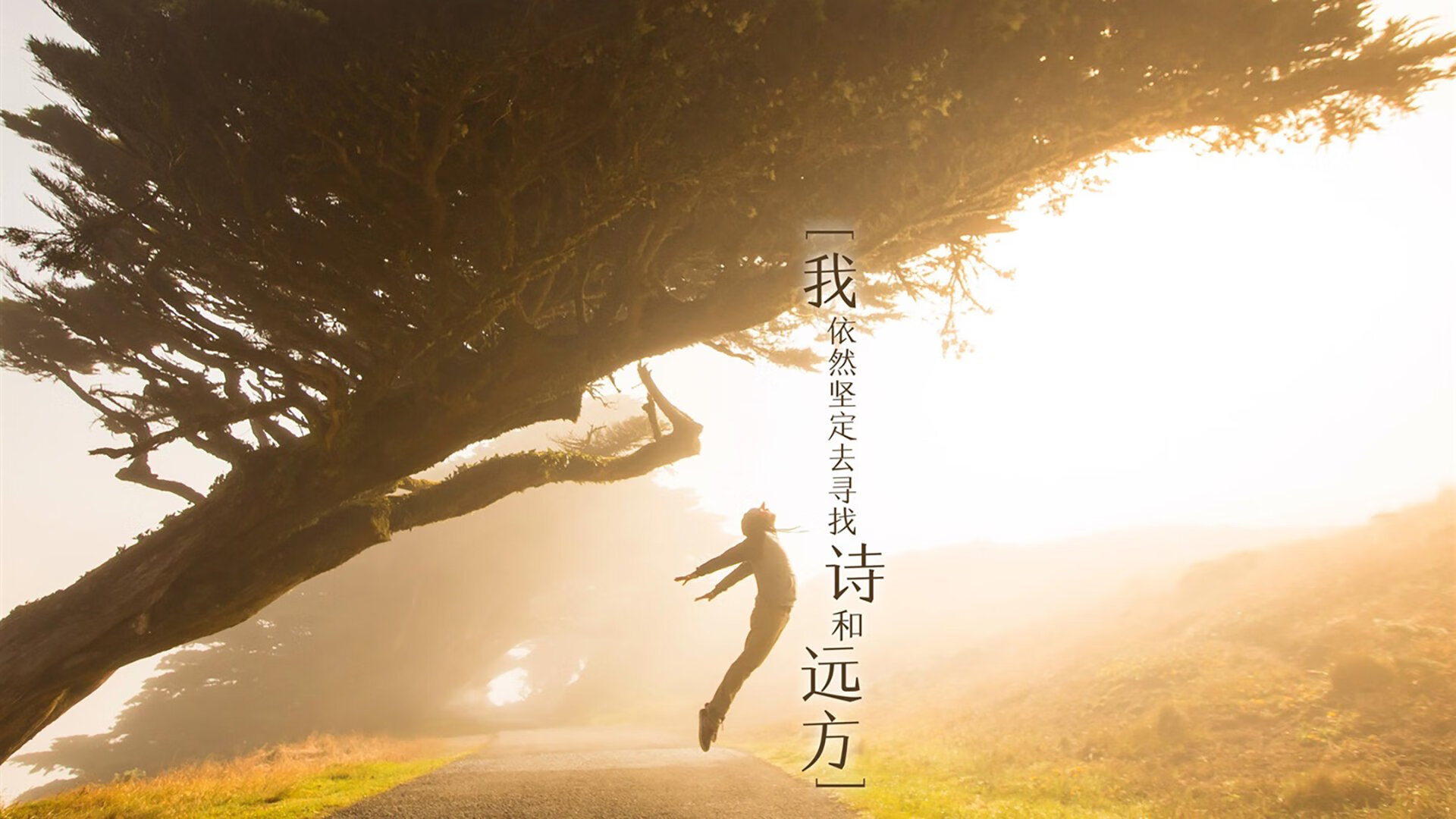 哈伦赛后分享心路历程与训练细节,哈伦舞教学视频