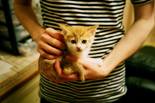 苏炳添百米破十创造历史瞬间,苏炳添百米新纪录