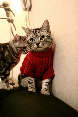 中国篮球赛事对大学生身体形象认知的影响分析,论述篮球对大学生的意义