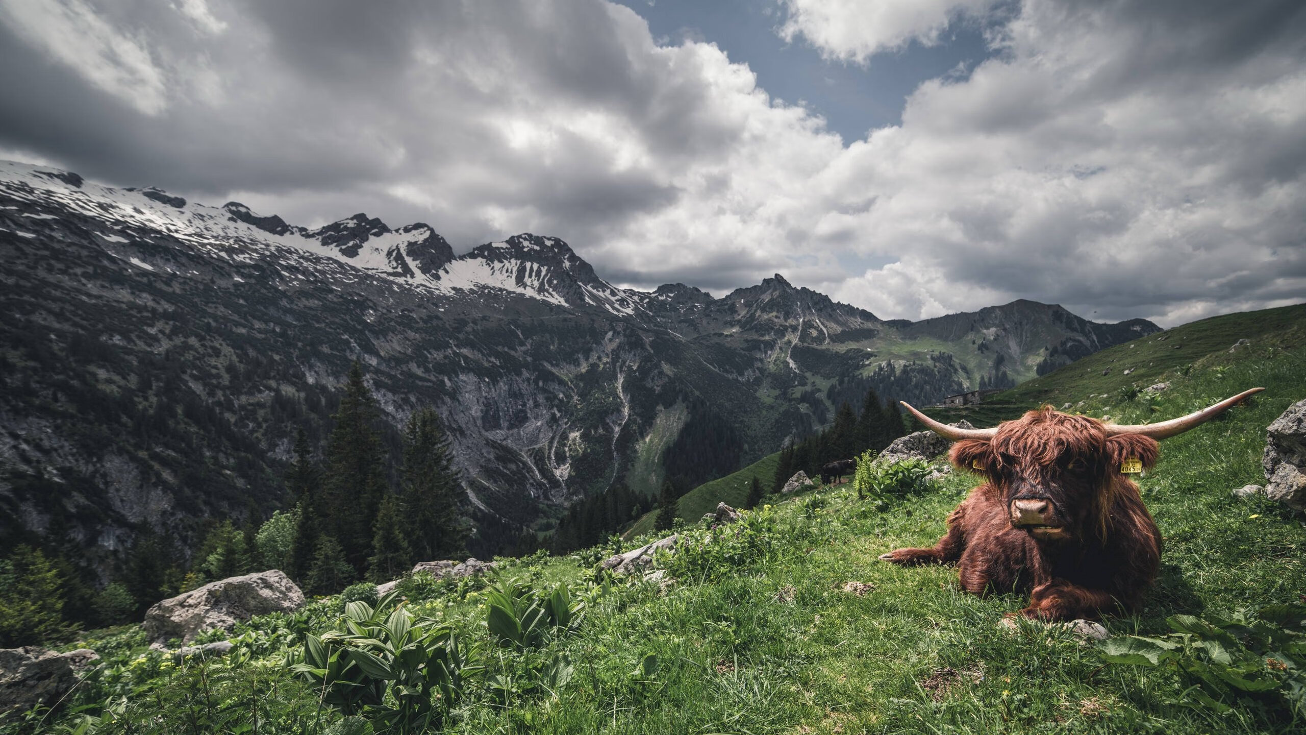 中国篮球青训营教练队伍发展与引进机制探讨,篮球青训师的待遇怎么样